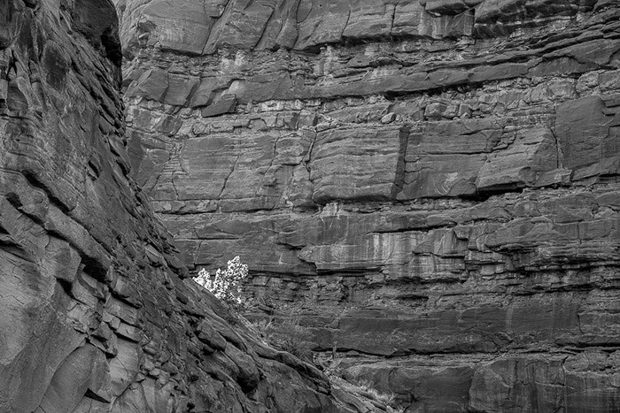 Fisher Towers BW 2104
