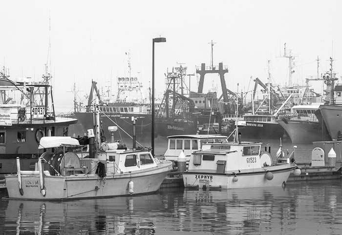 Fisherman's Terminal BW 2395