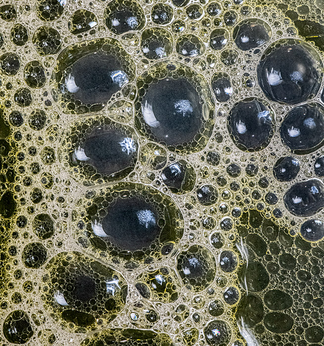 Bubbles Color 0176