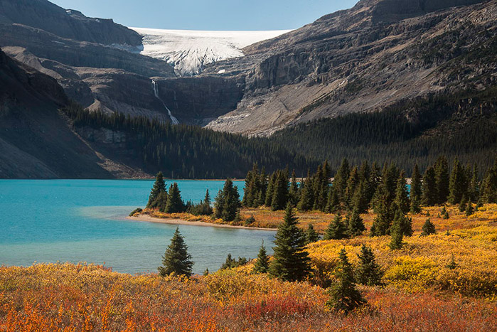 Bow Lake Glacier & Foliage Color 3818