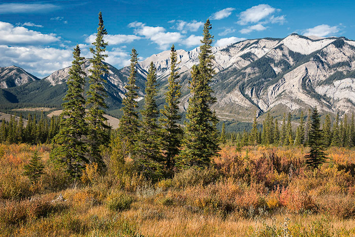 Canadian Rockies Fall Color 2948