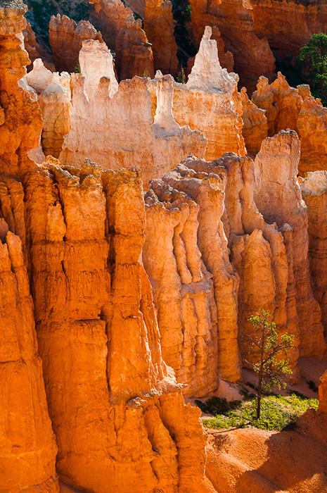 Bryce Canyon Color 3086