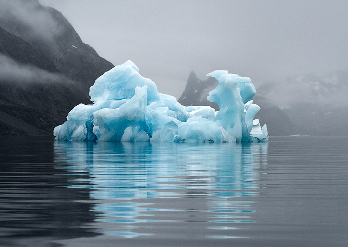 Blue Iceburg In Fog Greenland Color 7022