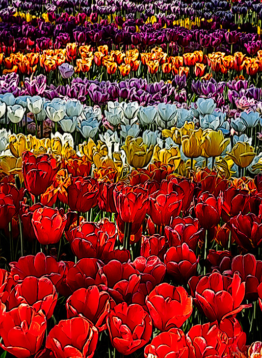 Floriade Expo Color 0805