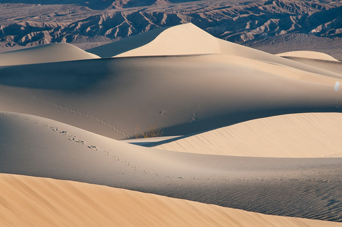 Death Valley Dunes 5481 Color