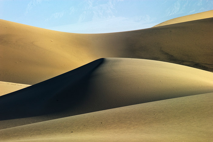 Dune Patterns 2 Color