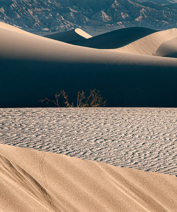 Mesquite Flat Dunes Color 5433