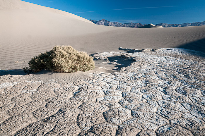 Mesquite Flat Dunes Color 5525