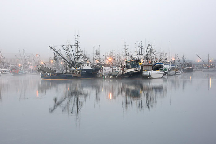 Fisherman's Terminal Fog Color 0161