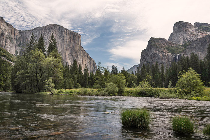 Yosemite Valley View Color 1228